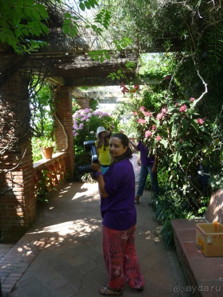 Немного испанского сюрреализма под сангрию