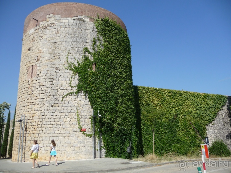 Немного испанского сюрреализма под сангрию