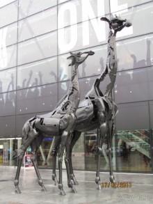 В стране короля Макбета