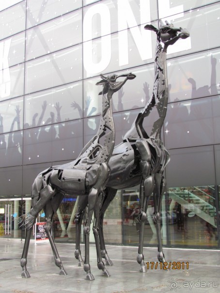 В стране короля Макбета