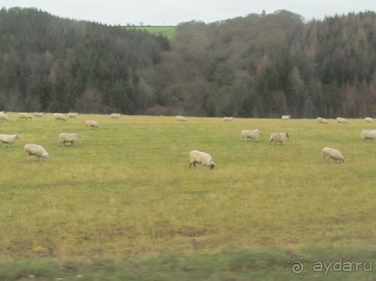 В стране короля Макбета