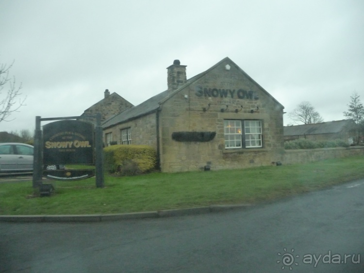 В стране короля Макбета