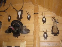 Словакия не по путёвке или Road story