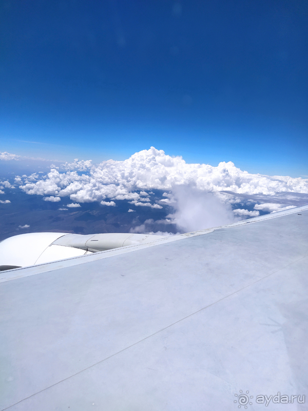 Море, пальмы, обезьяны... Занзибар.