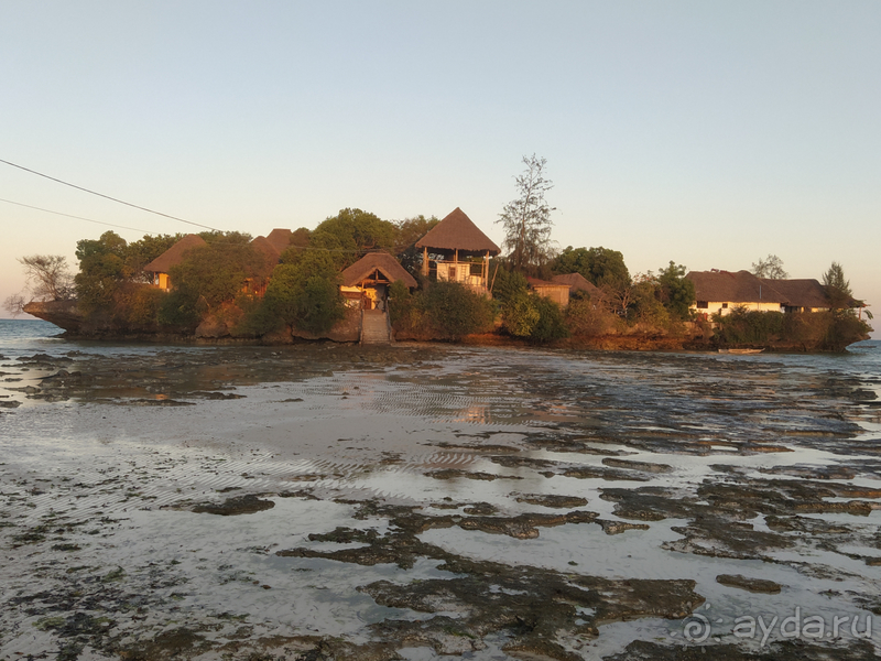 Море, пальмы, обезьяны... Занзибар.