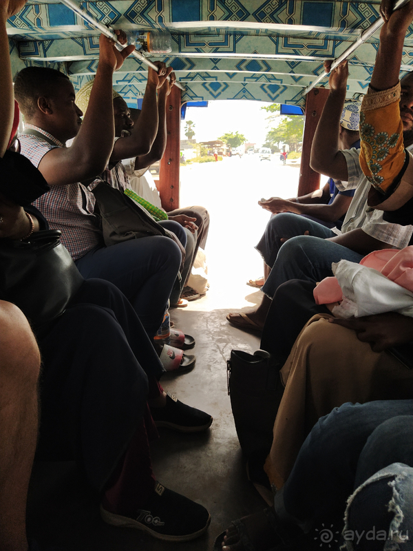 Море, пальмы, обезьяны... Занзибар.