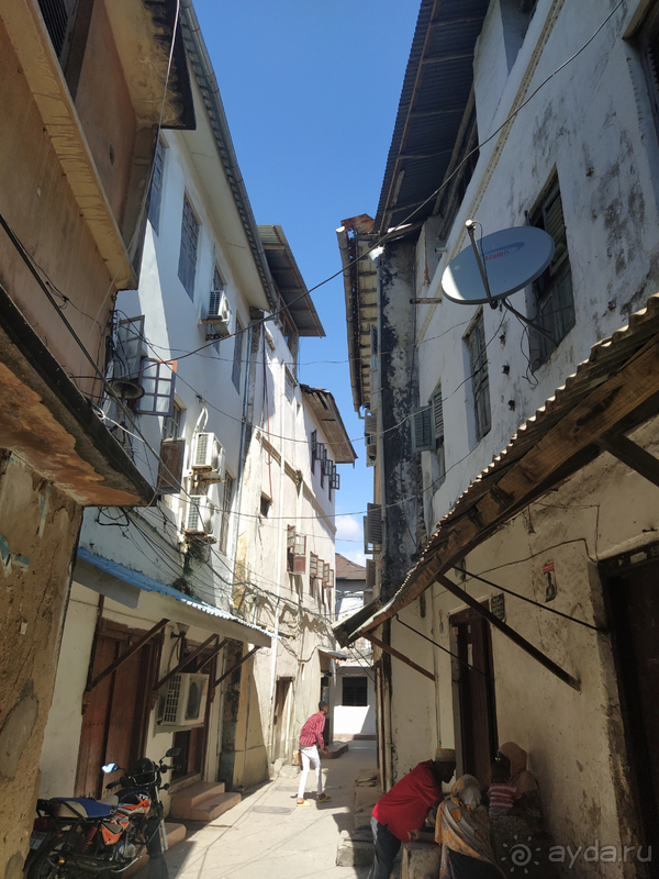 Море, пальмы, обезьяны... Занзибар.