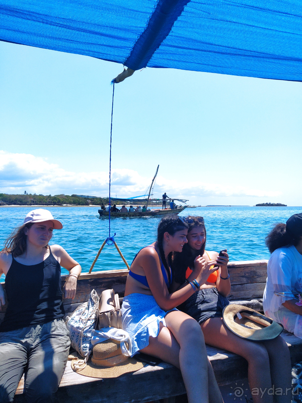 Море, пальмы, обезьяны... Занзибар.