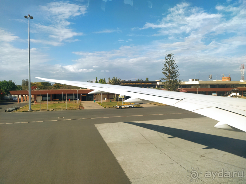 Море, пальмы, обезьяны... Занзибар.