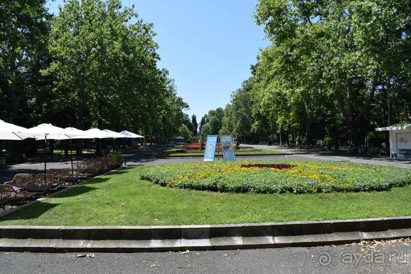 Альбом истории "Болгария - не заграница"