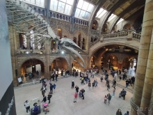 Ту тикетс ту Даблин