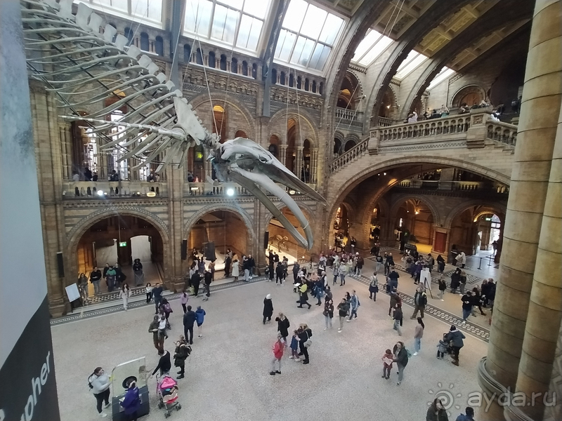 Ту тикетс ту Даблин