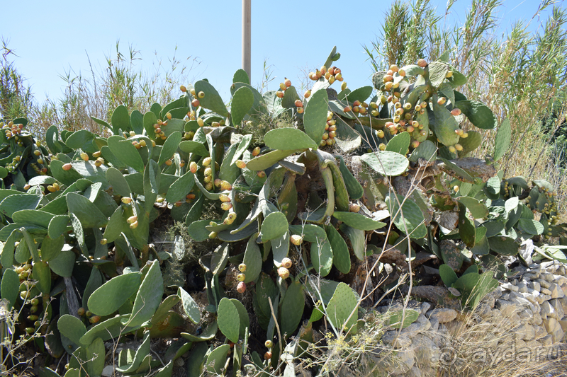 Мальта: маленькое окошко в железном занавесе карантина