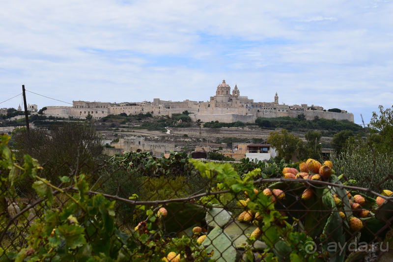 Мальта: маленькое окошко в железном занавесе карантина