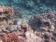 В чём египетская сила, брат?