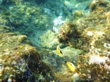 В чём египетская сила, брат?