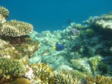 В чём египетская сила, брат?