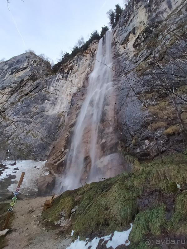 Босния и Сербия: две страны одной балканской медали Босния и Сербия: две страны одной балканской медали