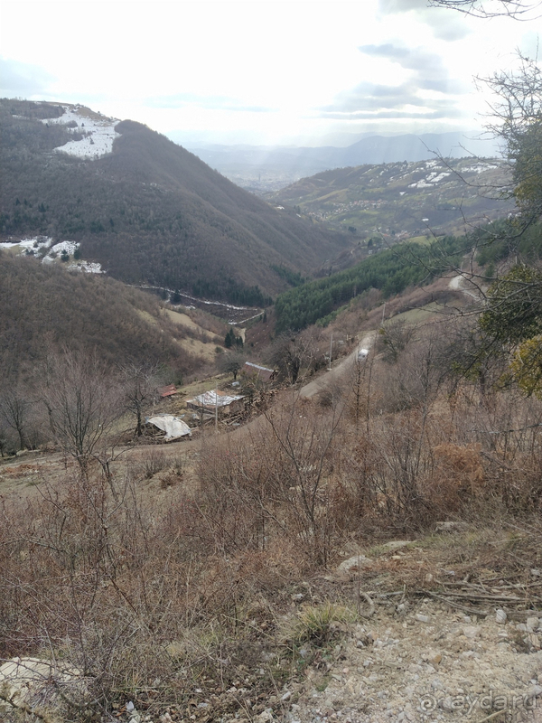 Босния и Сербия: две страны одной балканской медали Босния и Сербия: две страны одной балканской медали