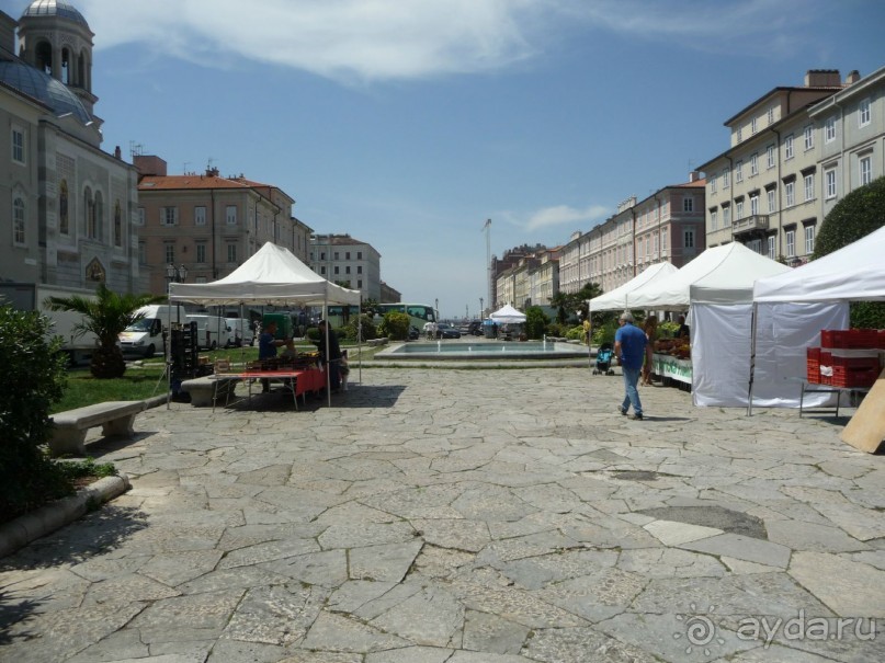 Изъ нѣмцевъ въ словѣне