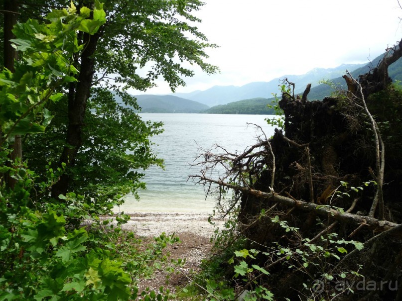 Изъ нѣмцевъ въ словѣне