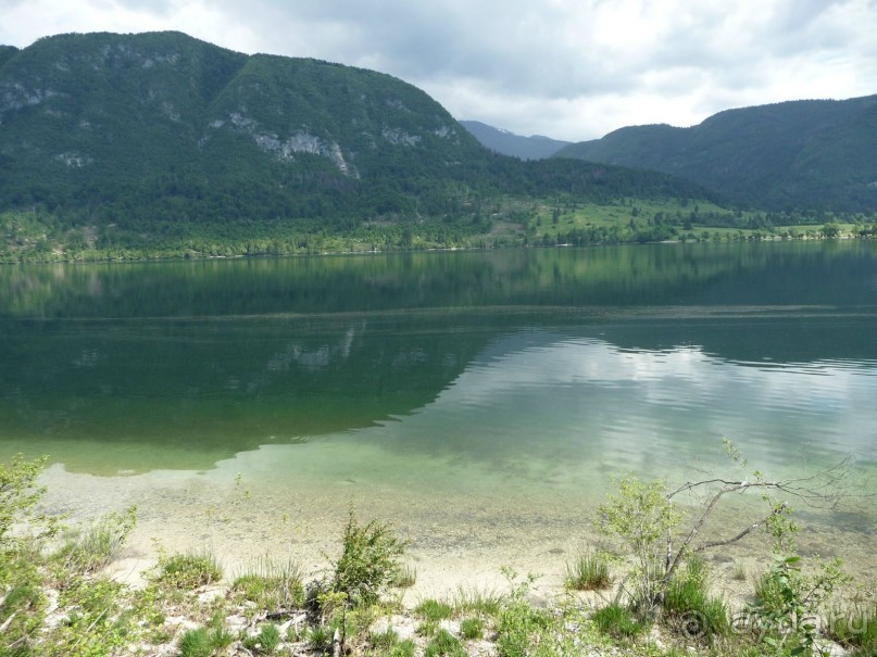 Изъ нѣмцевъ въ словѣне