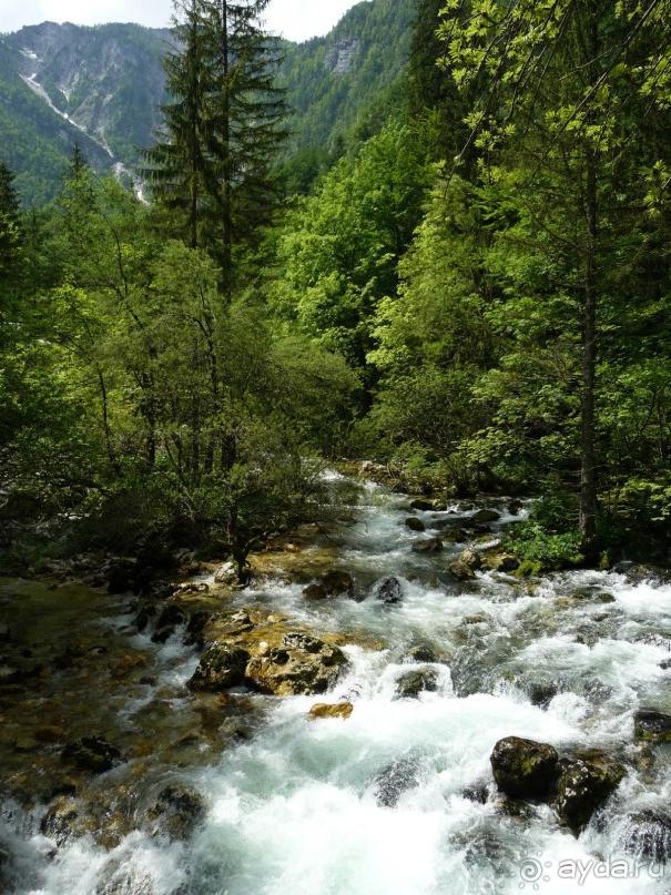 Изъ нѣмцевъ въ словѣне