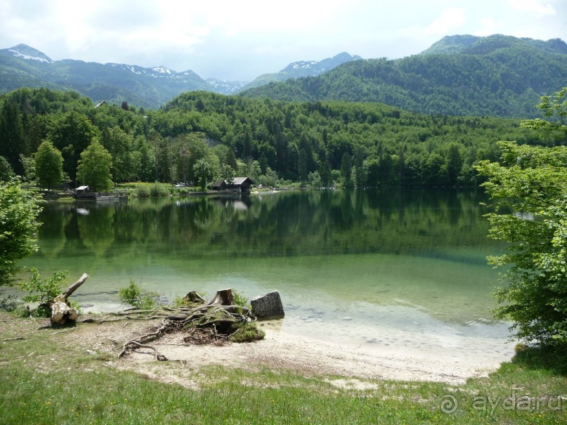 Изъ нѣмцевъ въ словѣне