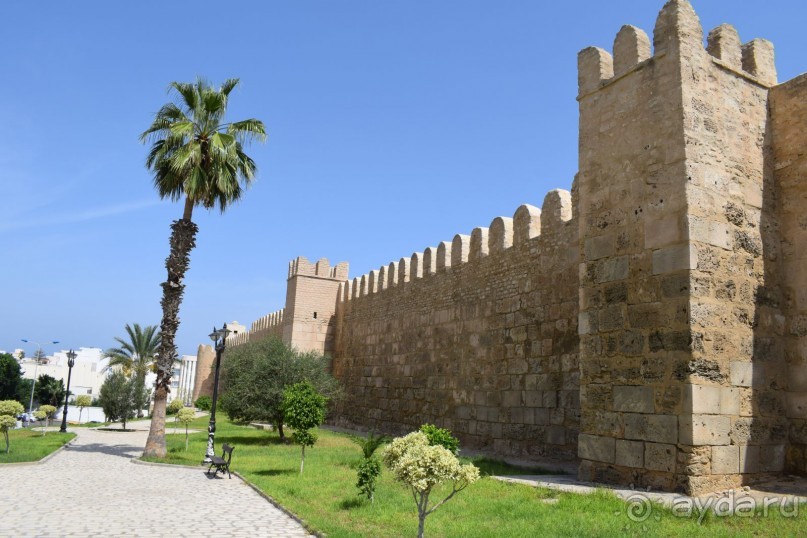 Наша первая Африка