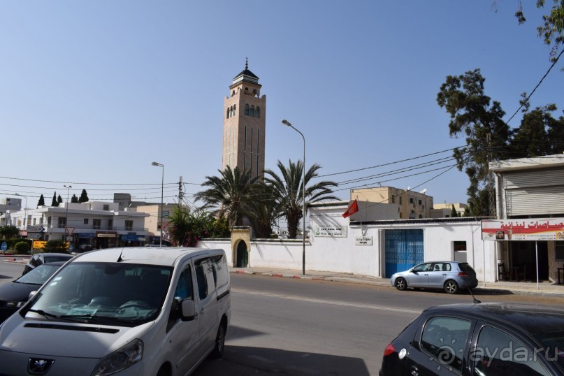 Наша первая Африка