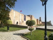 Наша первая Африка