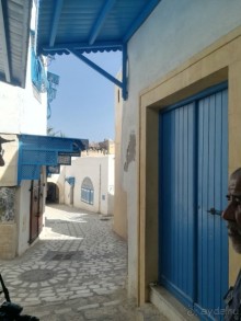 Наша первая Африка