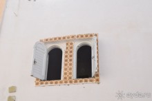 Наша первая Африка