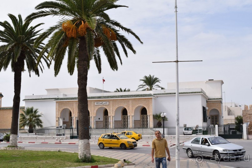 Наша первая Африка