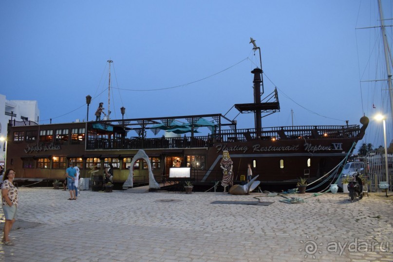 Наша первая Африка