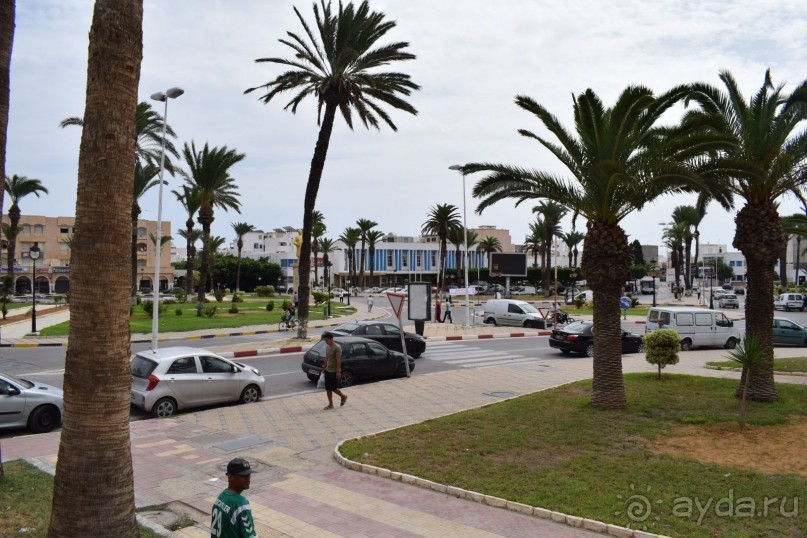 Наша первая Африка