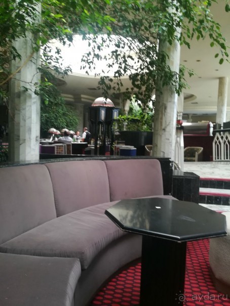 Наша первая Африка