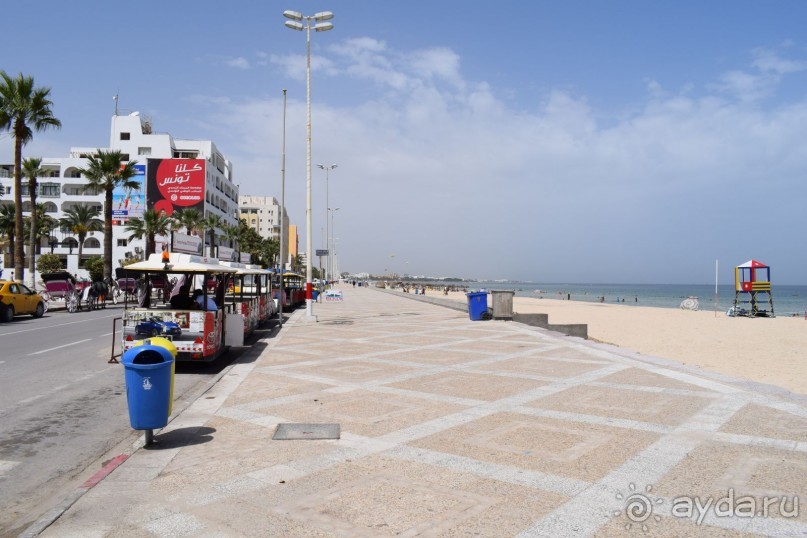 Наша первая Африка