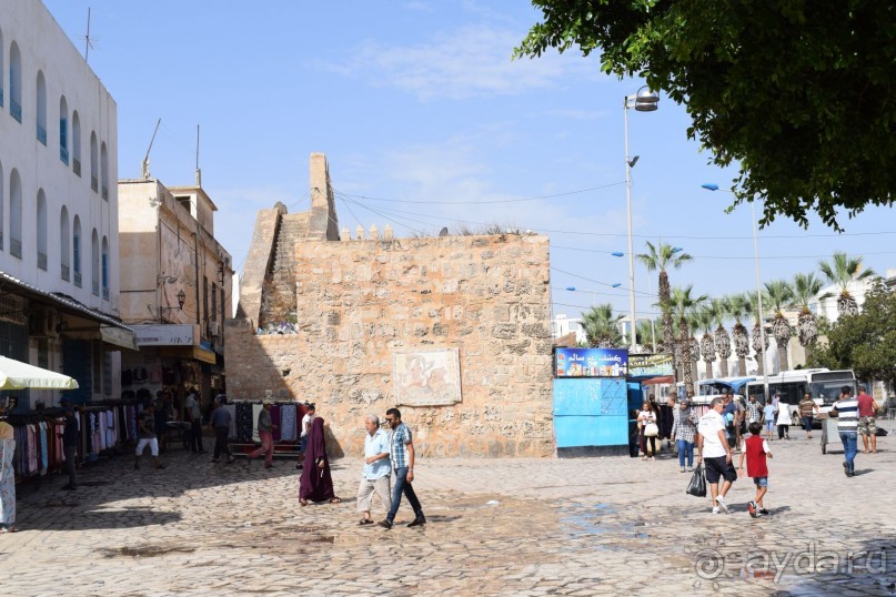 Наша первая Африка