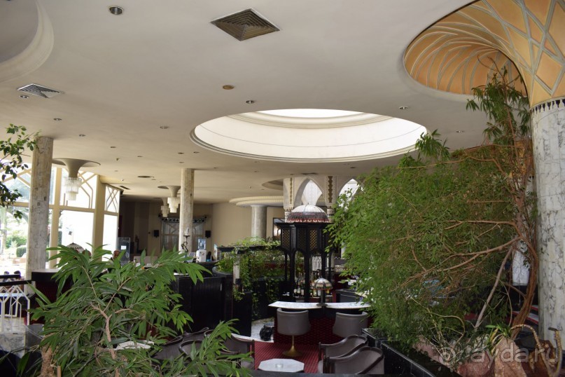 Наша первая Африка