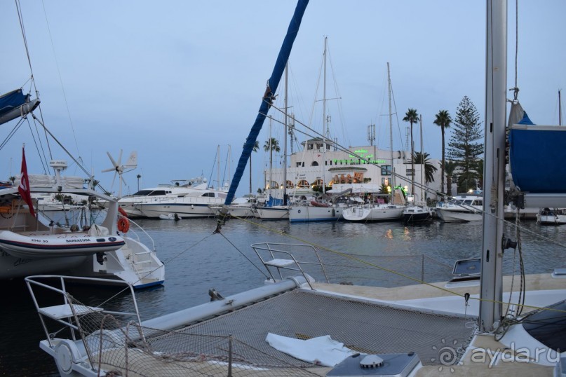 Наша первая Африка