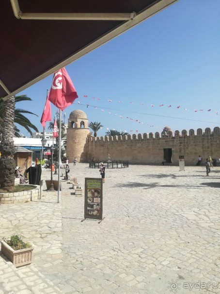 Наша первая Африка