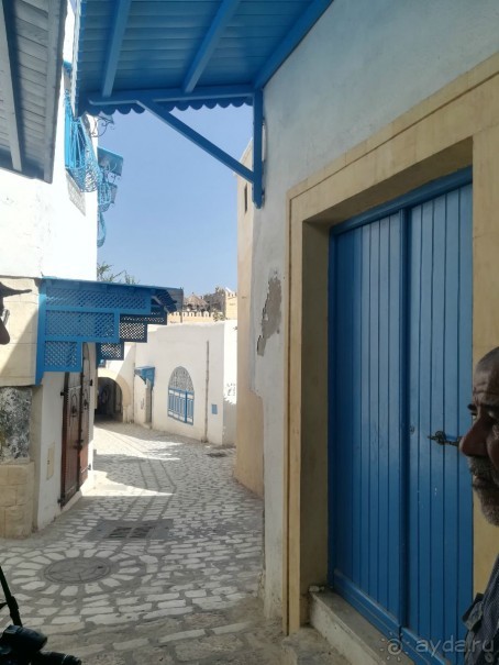 Наша первая Африка