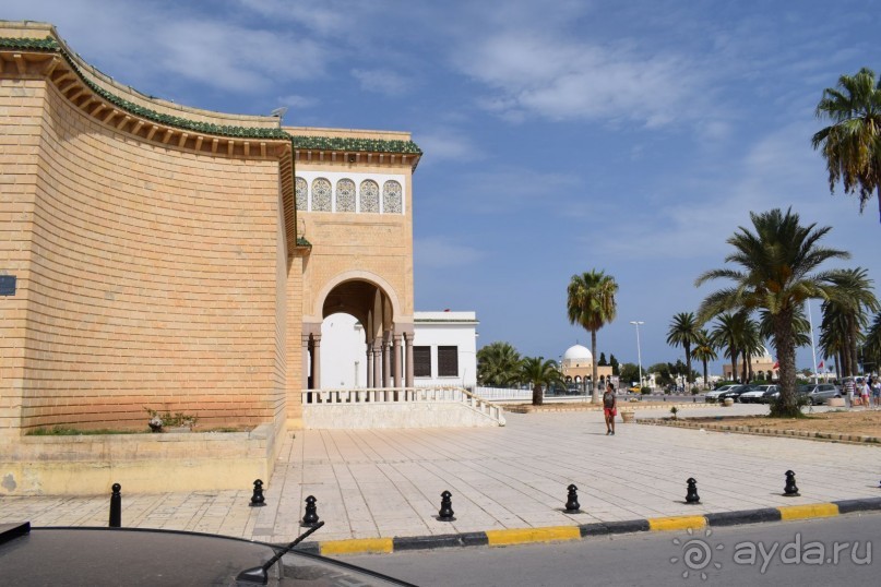 Наша первая Африка