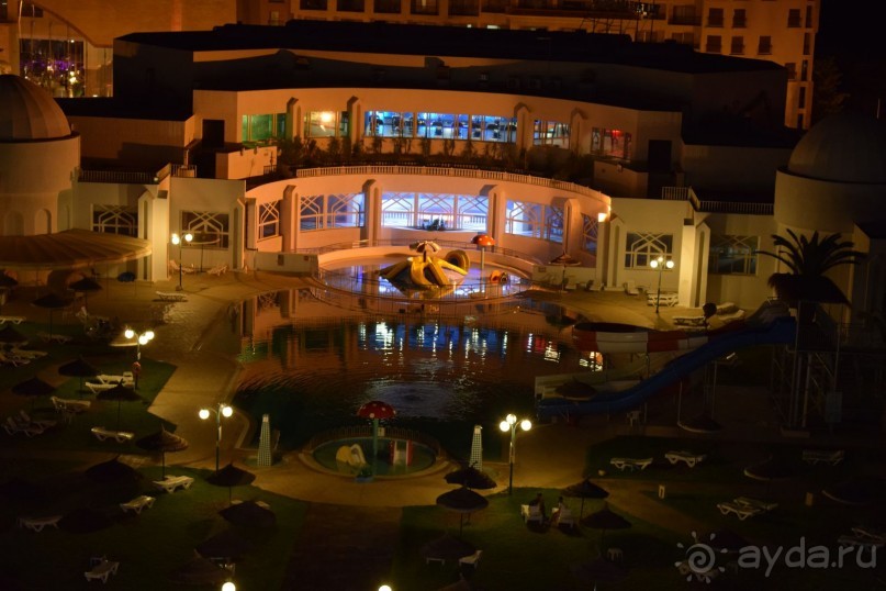 Наша первая Африка