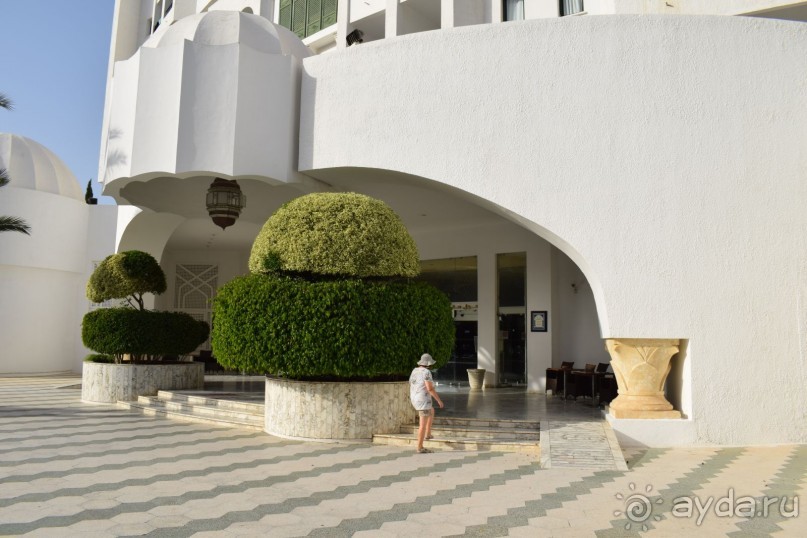 Наша первая Африка