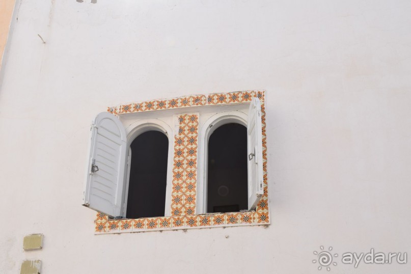 Наша первая Африка