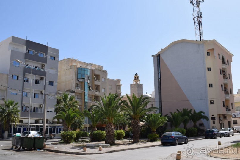 Наша первая Африка