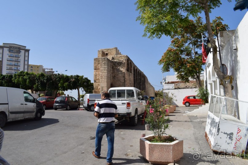 Наша первая Африка