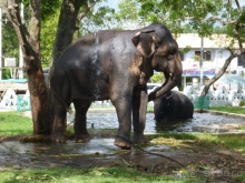 Коггала - это не Когалым
